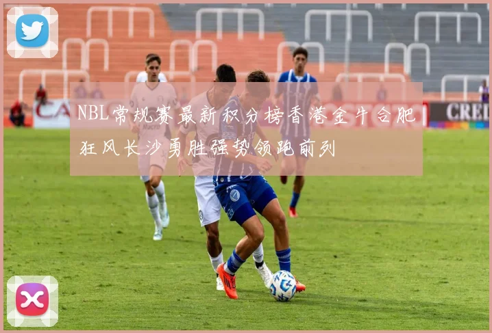 NBL常规赛最新积分榜香港金牛合肥狂风长沙勇胜强势领跑前列