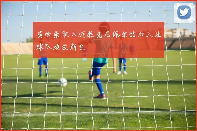 黄蜂豪取六连胜克尼佩尔的加入让球队焕发新生