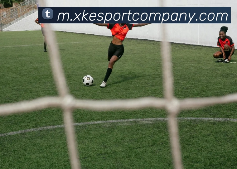 星空电竞平台生态图